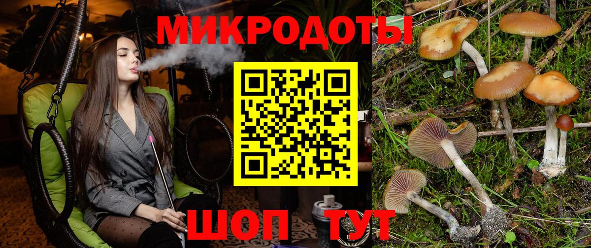 Псилоцибиновые грибы Cubensis  Вход с VPN  Лосино-Петровский 